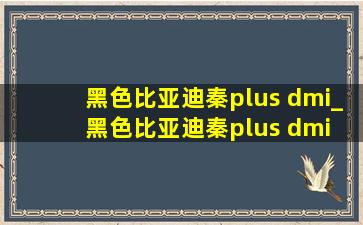 黑色比亚迪秦plus dmi_黑色比亚迪秦plus dmi 超级混动